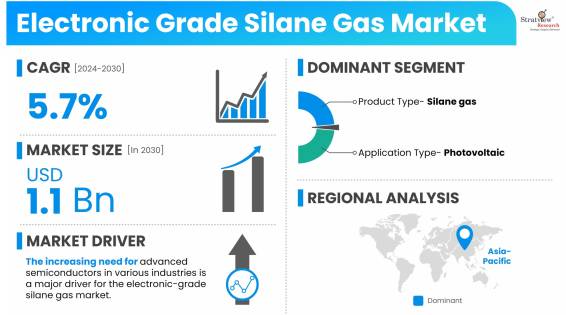 Electronic-Grade-Silane-Gas-Market-Insights